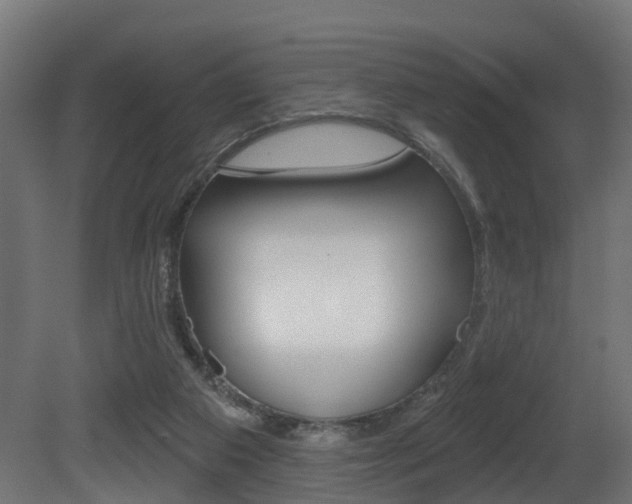 X0000081420113200701120955