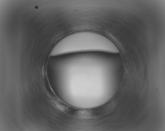 X0000081420117200701120955