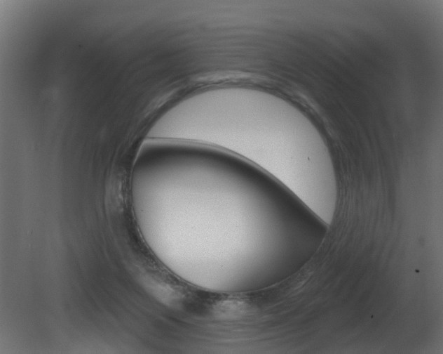 X0000081420119200701120955