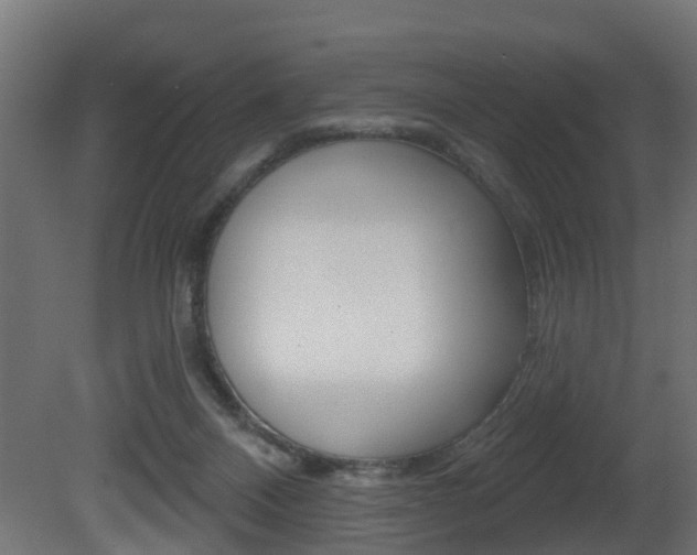 X0000081420120200701120955