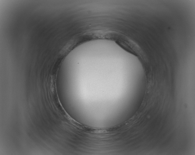 X0000081420121200701120955