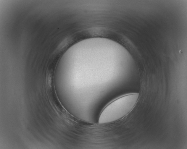 X0000081420124200701120955