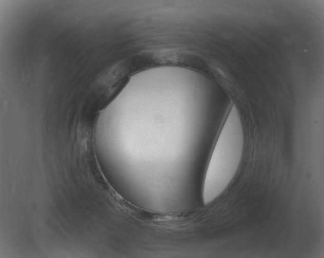 X0000081420125200701120955