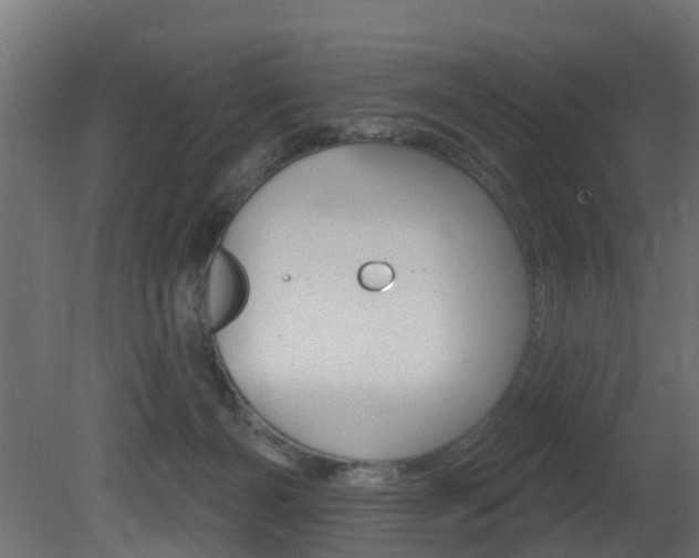 X0000081420126200701120954