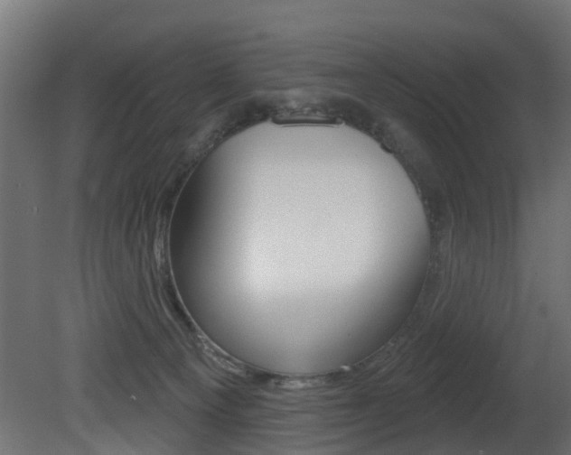 X0000081420129200701120954