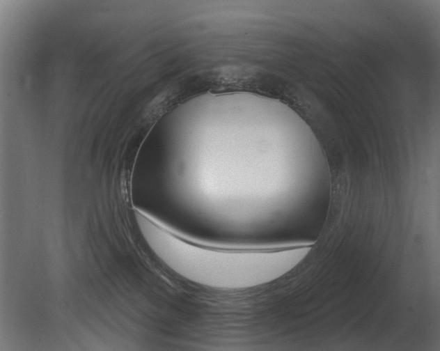 X0000081420137200701120954