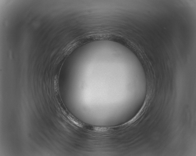 X0000081420144200701120954