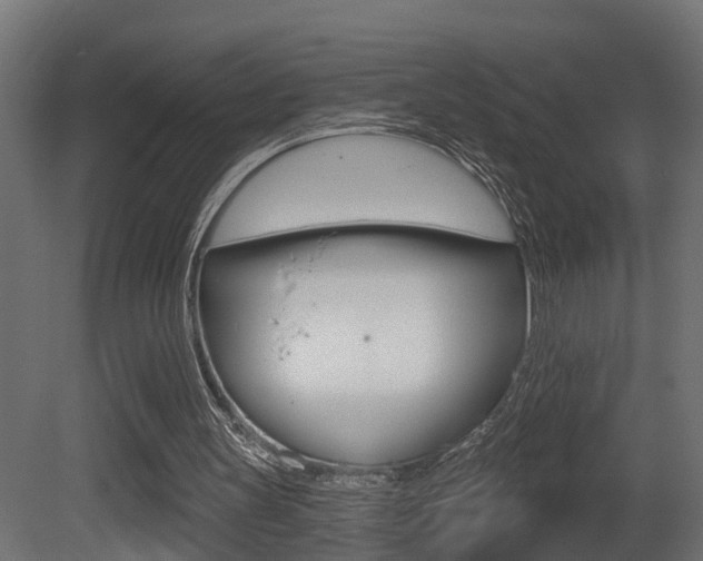 X0000081420147200701120953