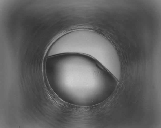 X0000081420148200701120953