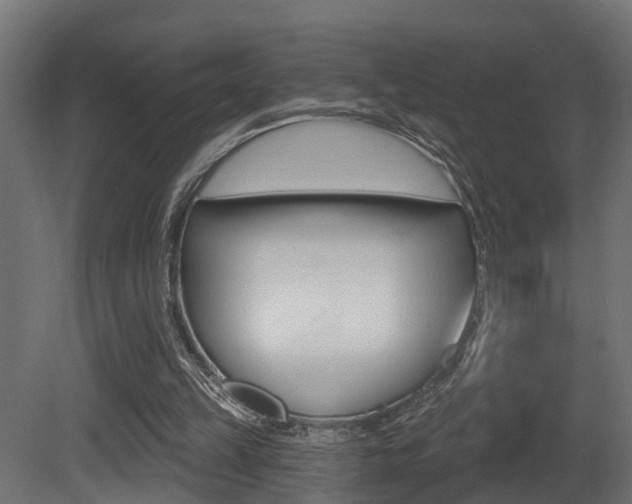 X0000081420149200701120953