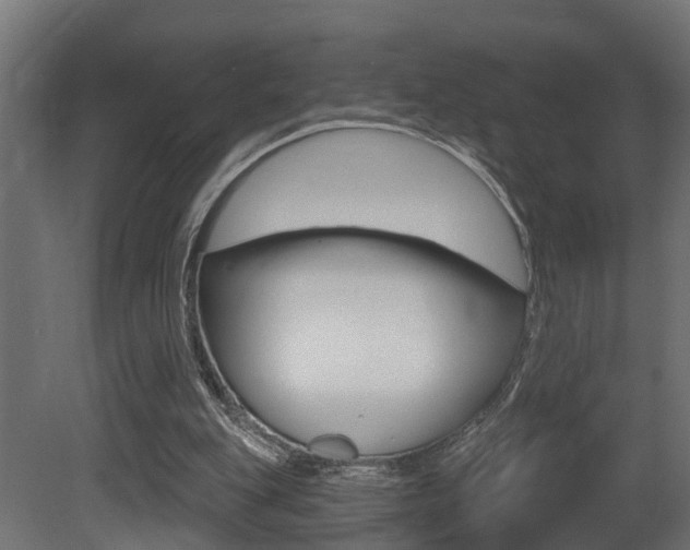 X0000081420151200701120953