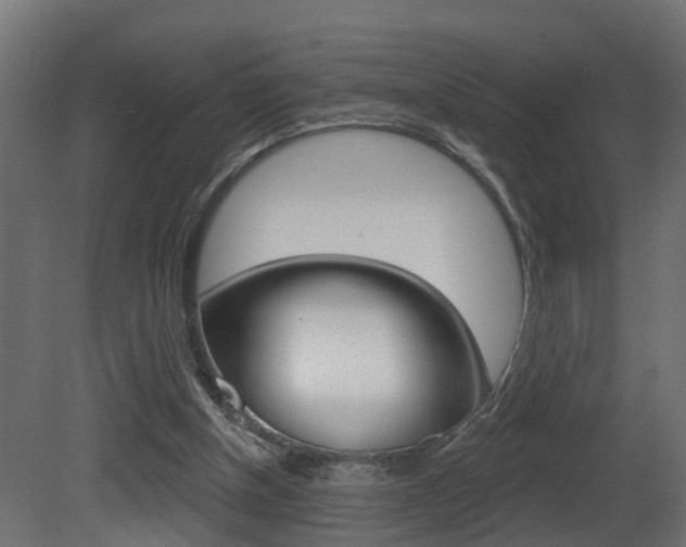 X0000081420154200701120954