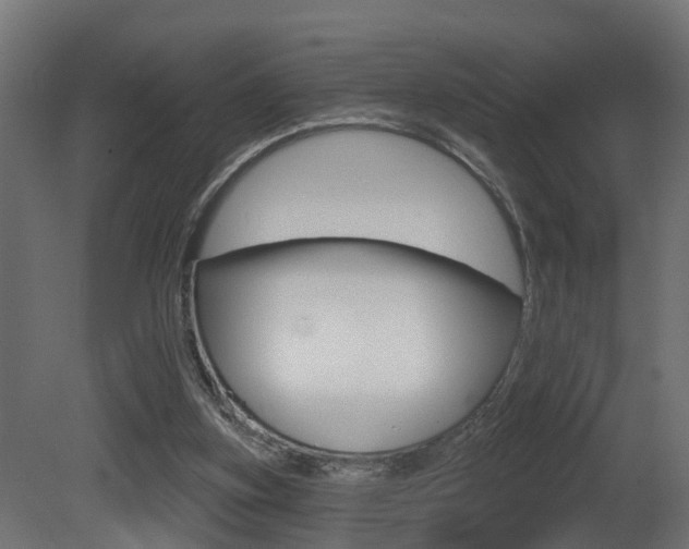X0000081420155200701120954