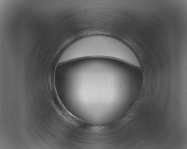 X0000081420158200701120954