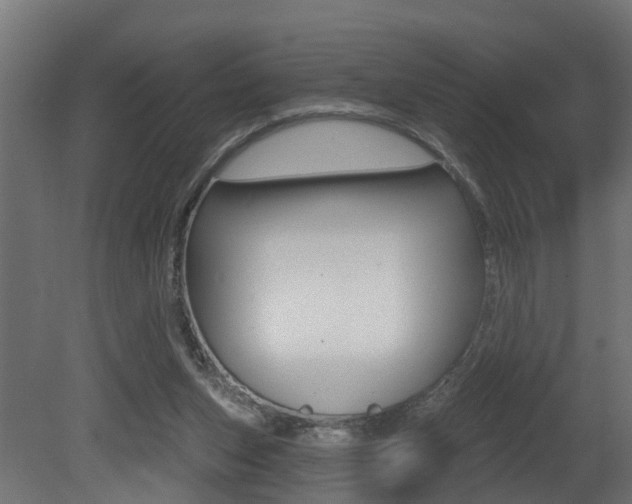 X0000081420159200701120954