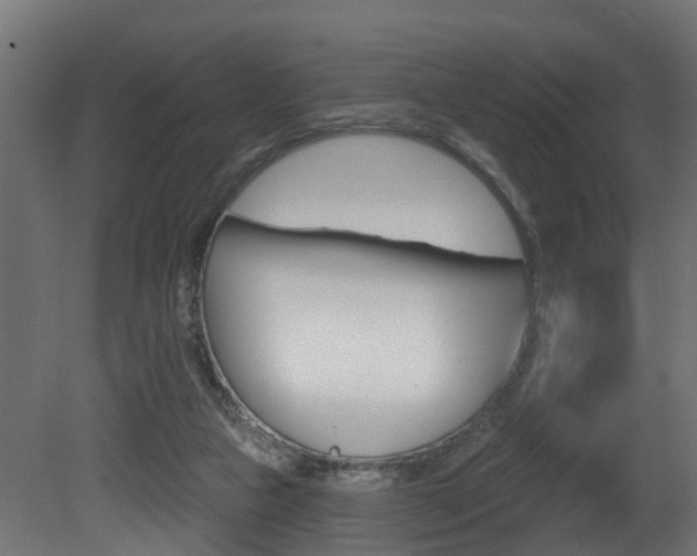 X0000081420161200701120954