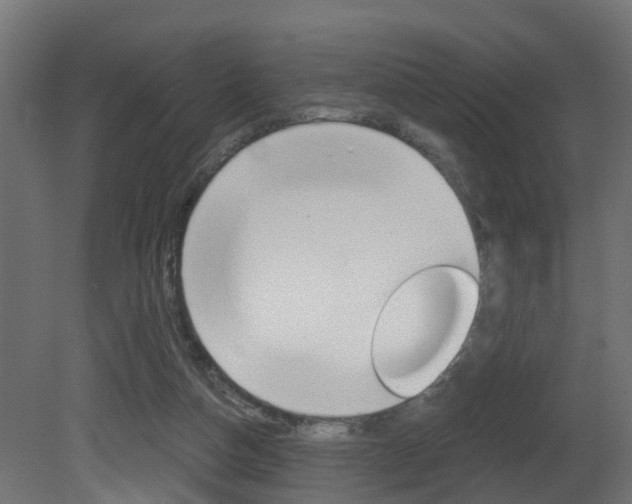 X0000081420162200701120954