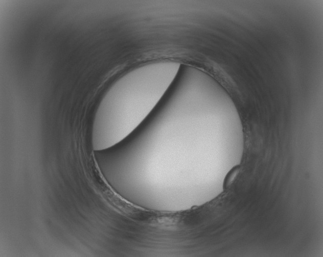 X0000081420163200701120954