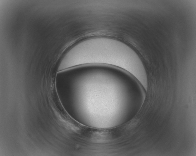 X0000081420164200701120954
