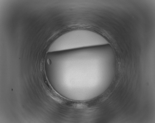 X0000081420165200701120954