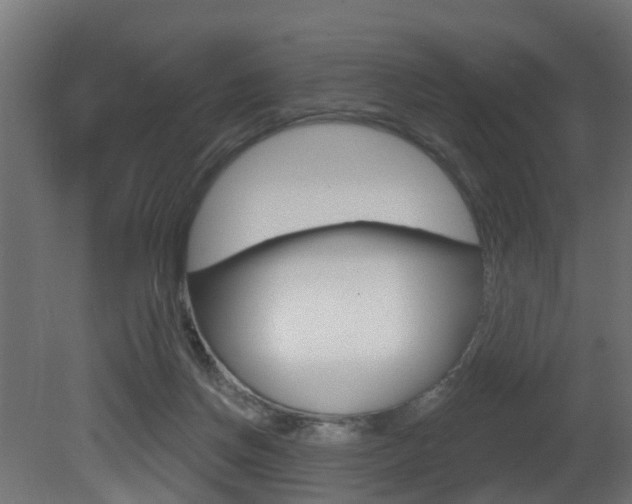 X0000081420166200701120954
