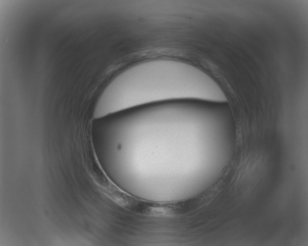 X0000081420167200701120954