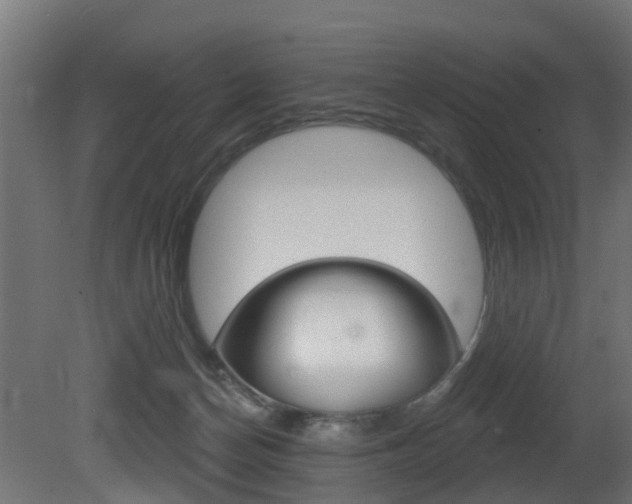 X0000081420174200701120954