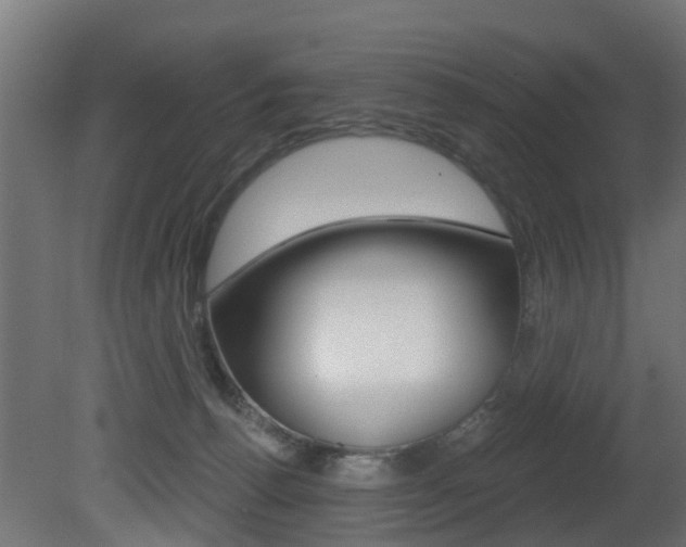 X0000081420176200701120954