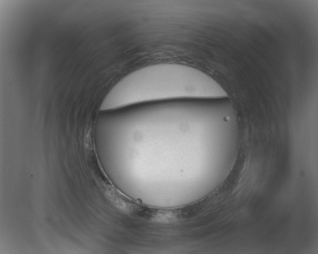 X0000081420177200701120954