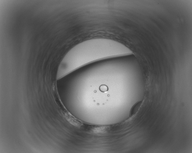 X0000081420178200701120954