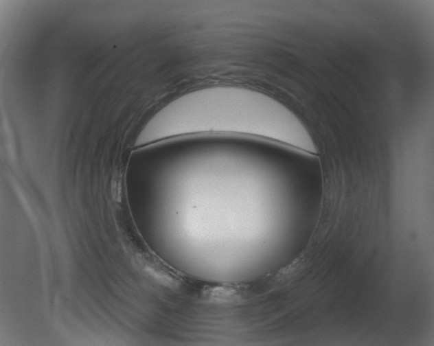 X0000081420180200701120954