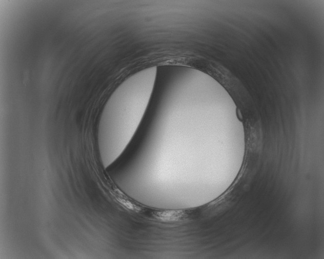 X0000081420191200701120954