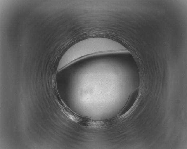X0000081420192200701120954