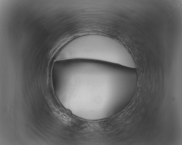 X0000081420194200701120953