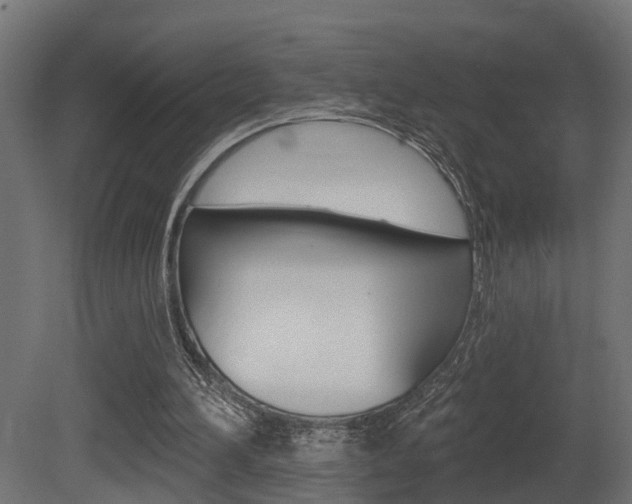 X0000081420196200701120953
