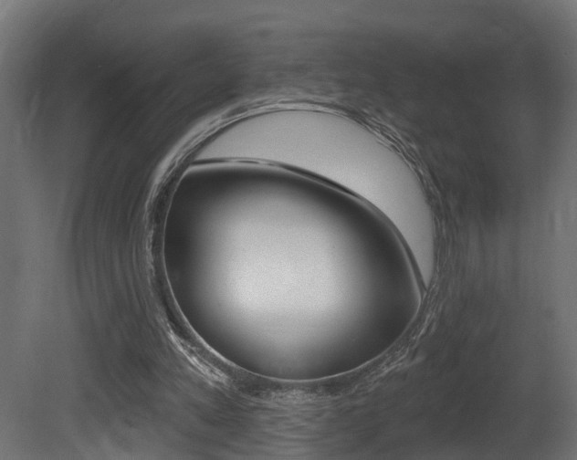 X0000081420197200701120953