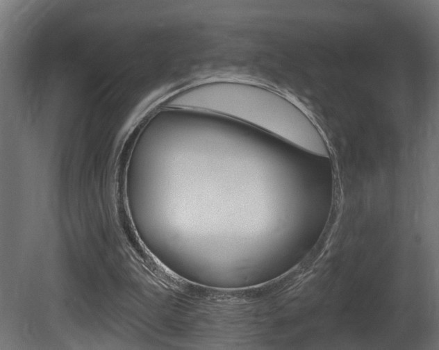 X0000081420199200701120953