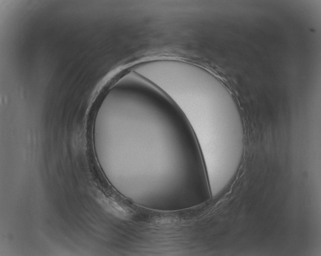 X0000081420200200701120953