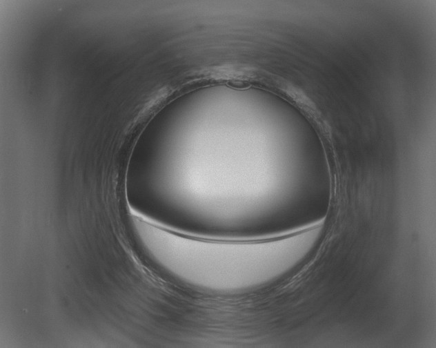 X0000081420201200701120953