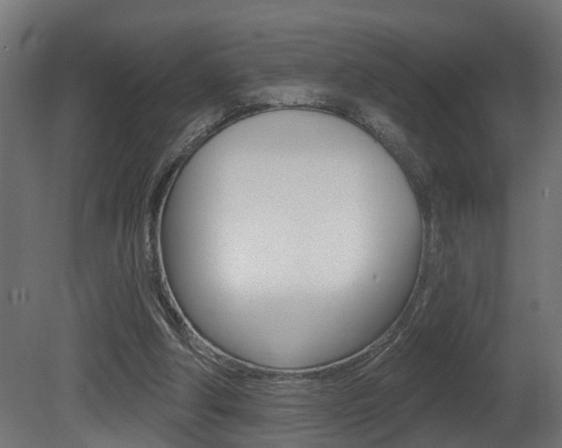 X0000081420202200701120953