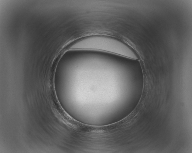 X0000081420203200701120953