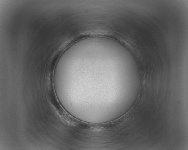 X0000081420206200701120953