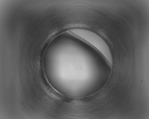 X0000081420207200701120953