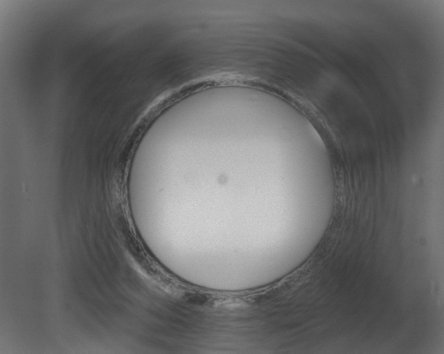X0000081420208200701120953