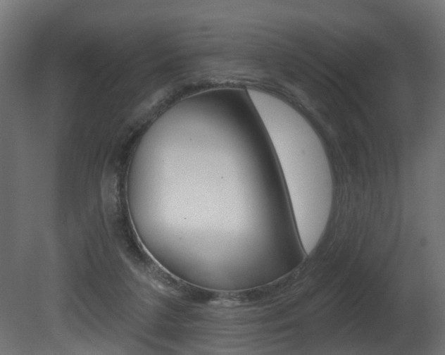 X0000081420211200701120953