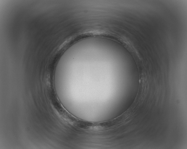 X0000081420212200701120953