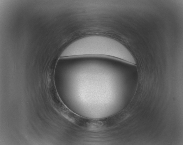 X0000081420215200701120953