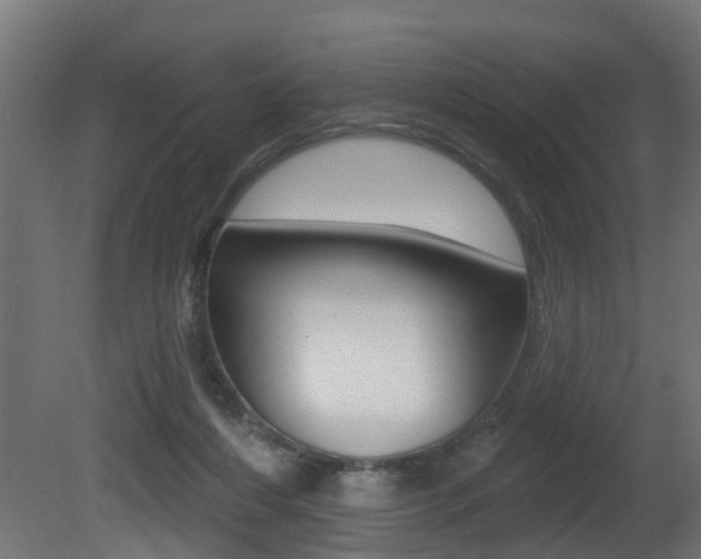X0000081420216200701120953
