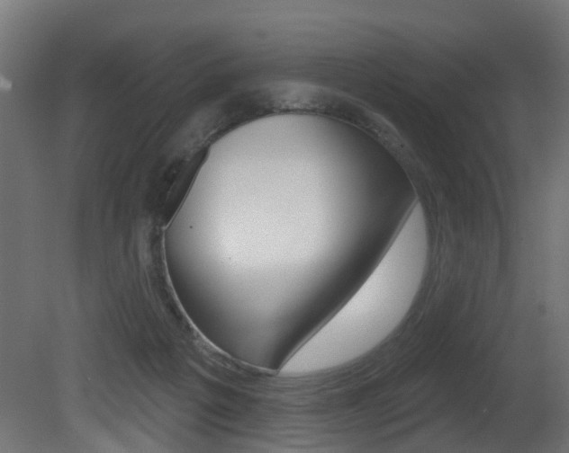 X0000081420217200701120953