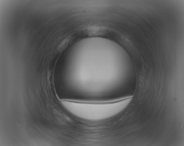 X0000081420219200701120953
